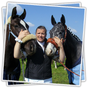 Frau Sturm mit ihren Pferden beim Turnier